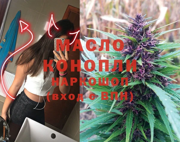 молекула духа Верхний Тагил
