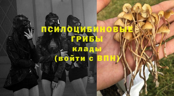молекула духа Верхний Тагил